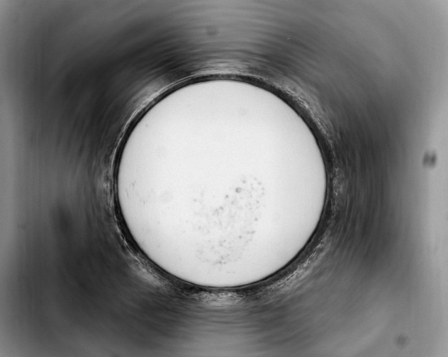 X0000103951129200810101432