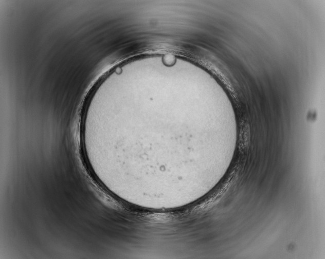 X0000103951130200810101432