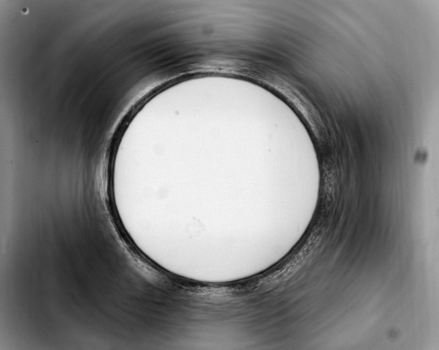 X0000103951131200810101432