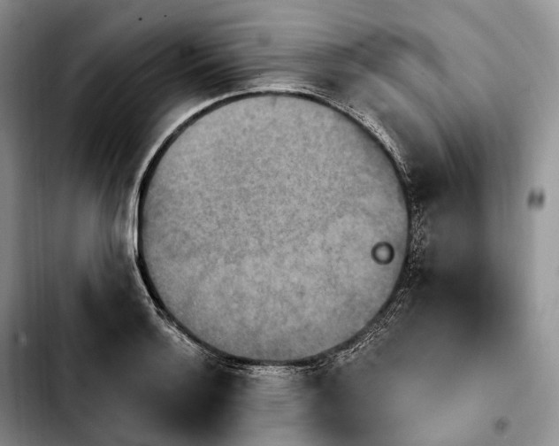 X0000103951132200810101432