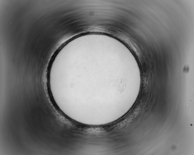 X0000103951133200810101432