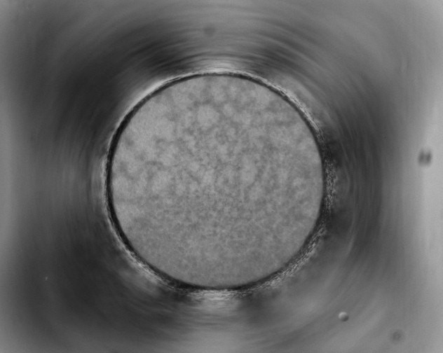 X0000103951134200810101432