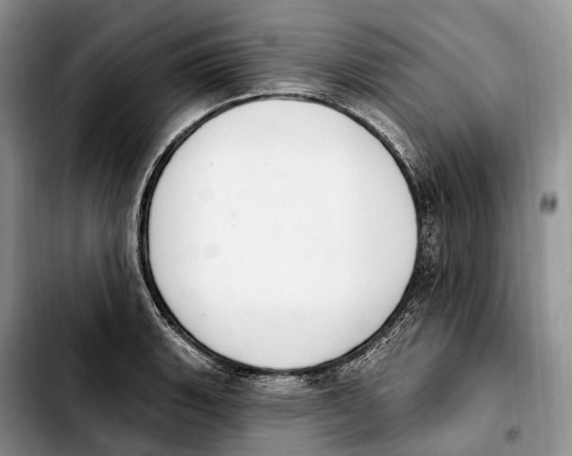 X0000103951135200810101432