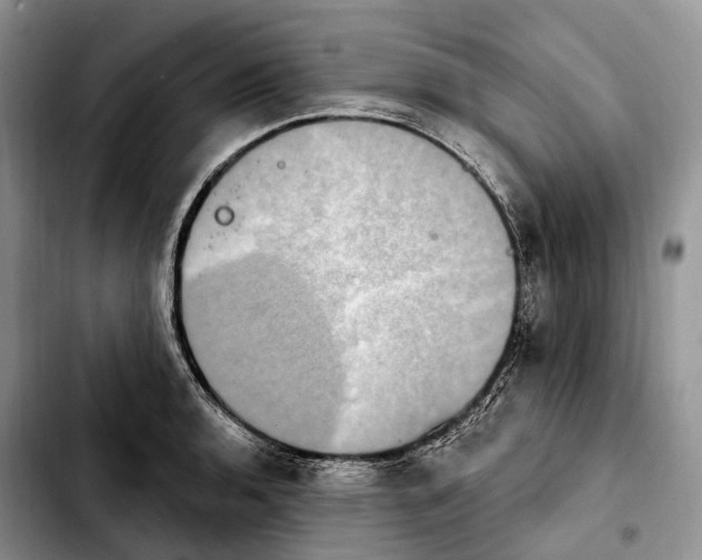 X0000103951136200810101432