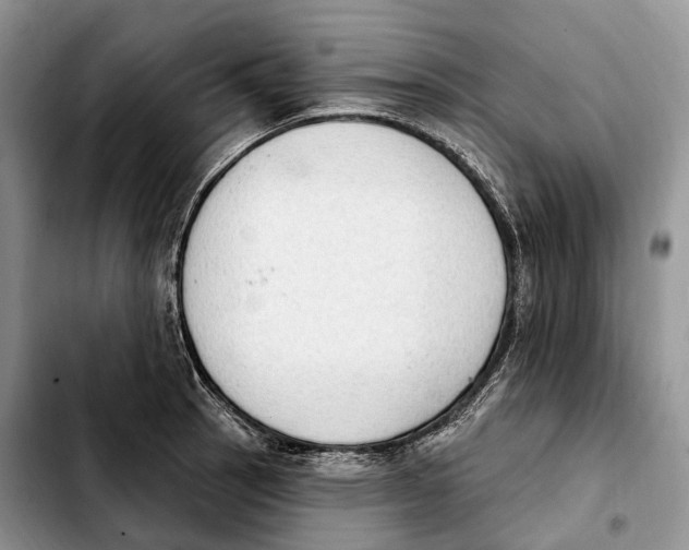 X0000103951137200810101432