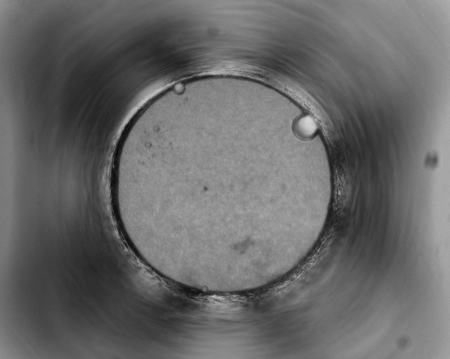 X0000103951138200810101432