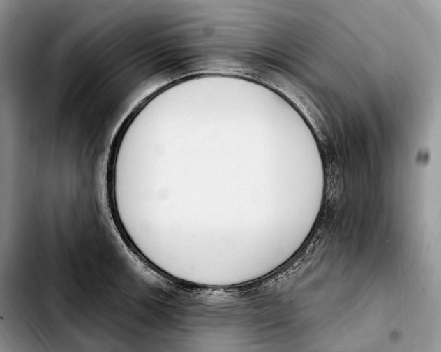 X0000103951139200810101432