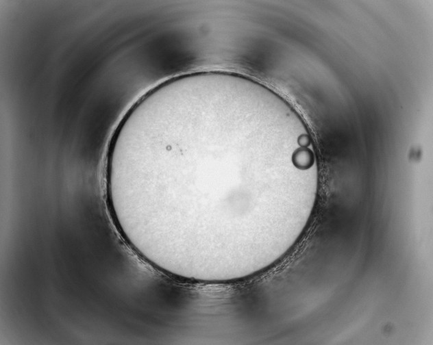 X0000103951140200810101432