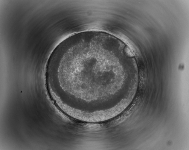 X0000103951142200810101432