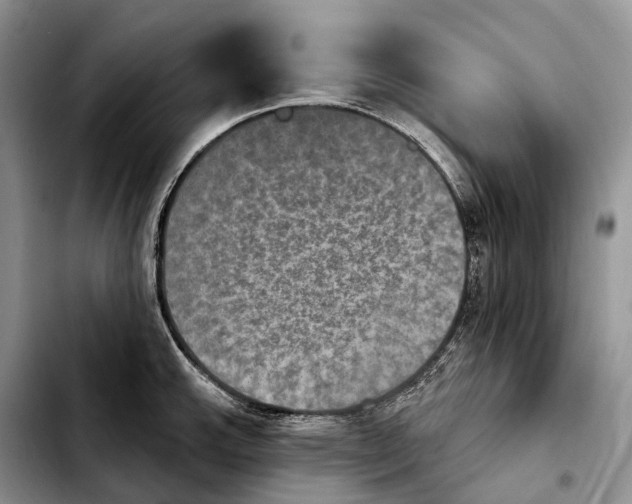 X0000103951143200810101432