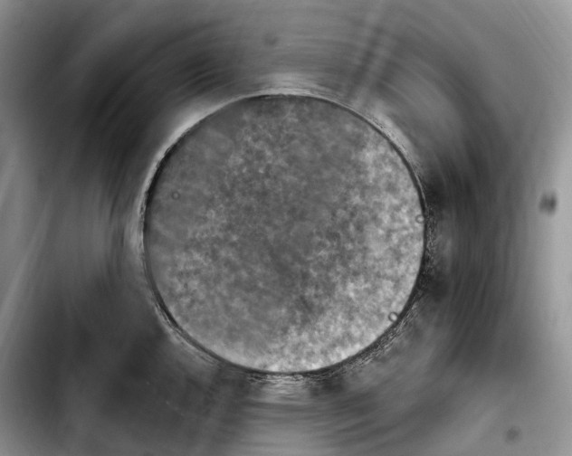 X0000103951144200810101432