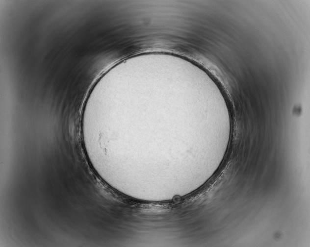 X0000103951145200810101432