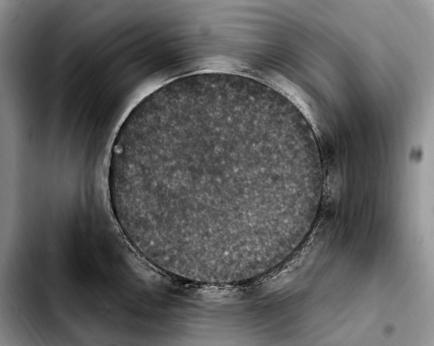 X0000103951146200810101432