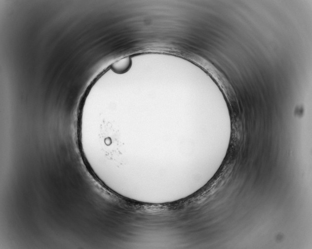 X0000103951147200810101432