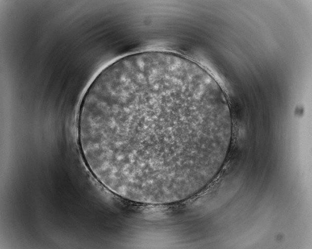 X0000103951148200810101432