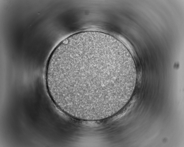 X0000103951149200810101432