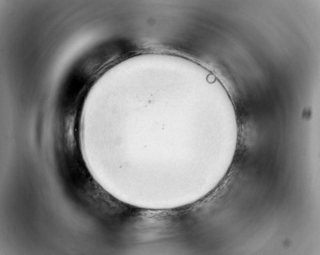 X0000103951150200810101432