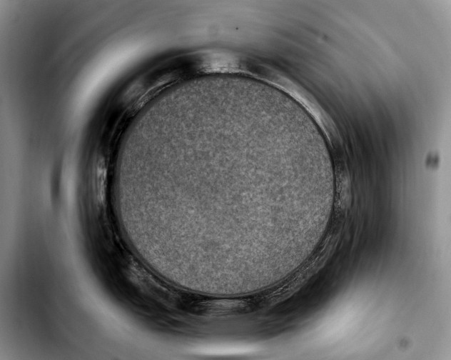 X0000103951151200810101432