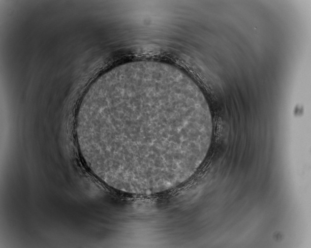 X0000103951153200810101432