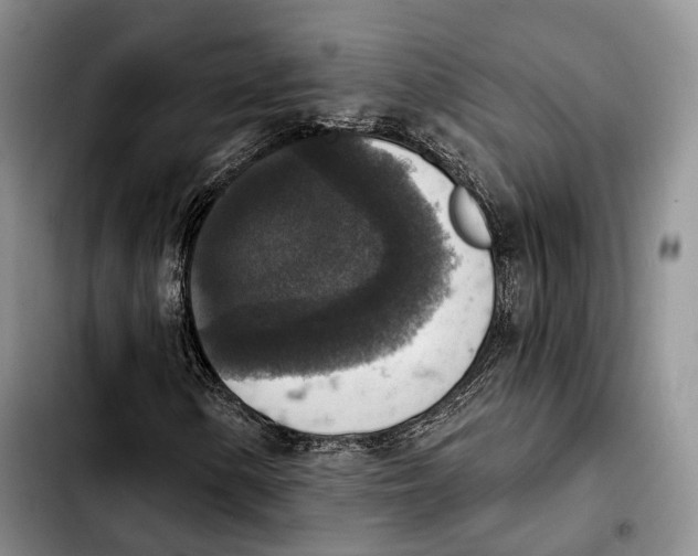 X0000103951154200810101432