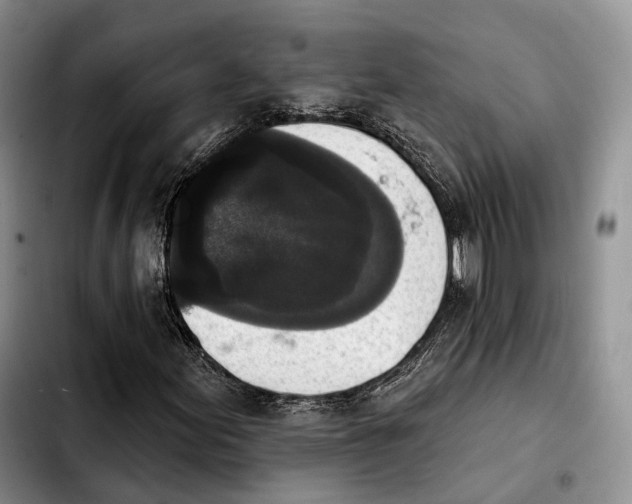 X0000103951155200810101432