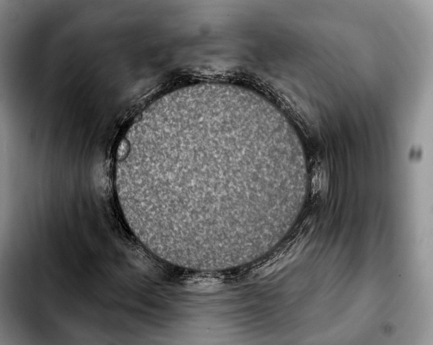 X0000103951156200810101432