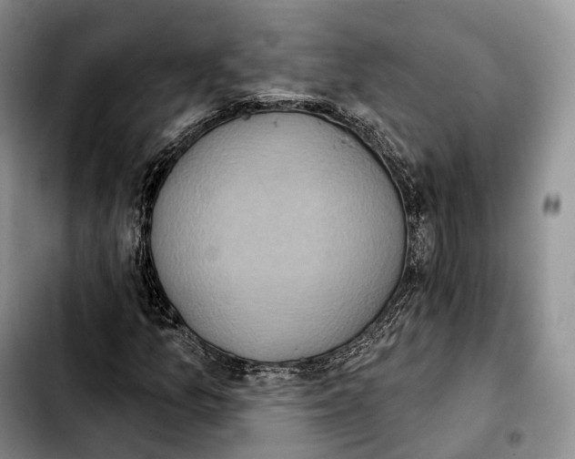 X0000103951157200810101432