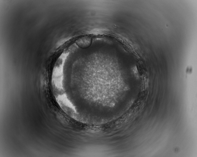 X0000103951158200810101432