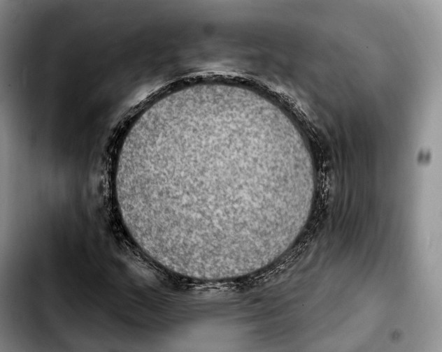 X0000103951159200810101432