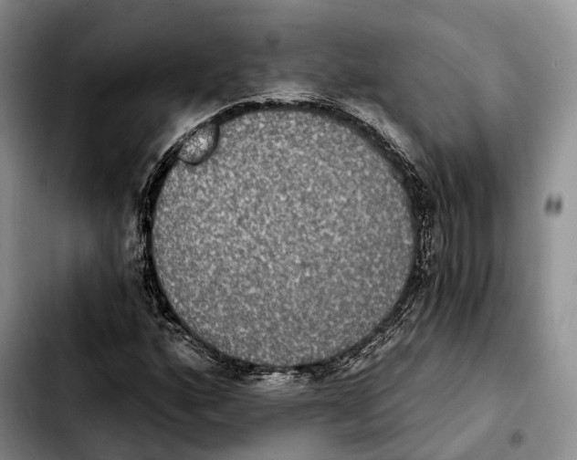 X0000103951160200810101432