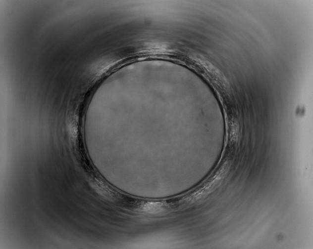 X0000103951161200810101432