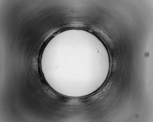 X0000103951162200810101432