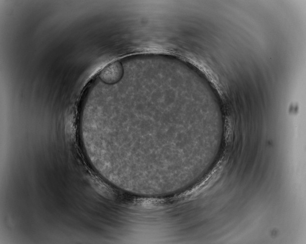 X0000103951163200810101432