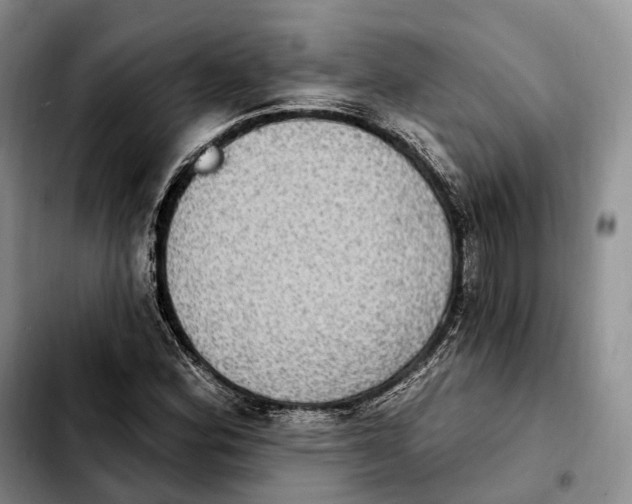 X0000103951164200810101432