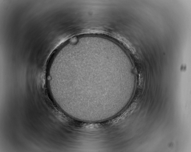 X0000103951165200810101432