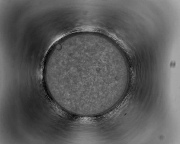 X0000103951166200810101432