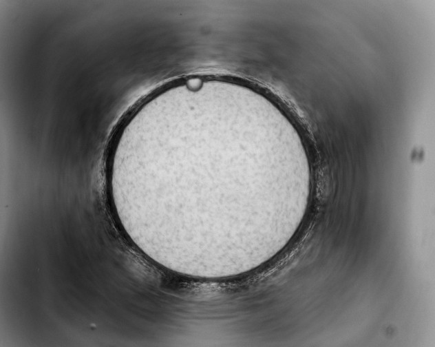 X0000103951167200810101432