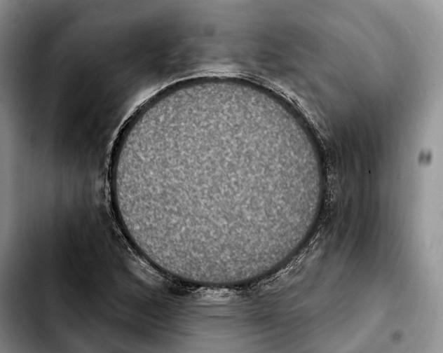 X0000103951168200810101432