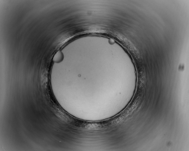 X0000103951169200810101432