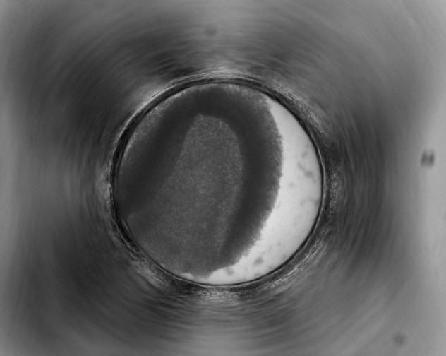 X0000103951170200810101432