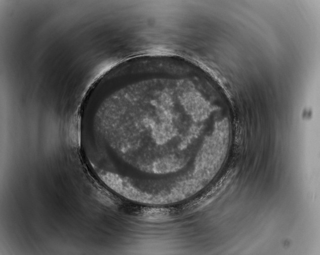 X0000103951171200810101432