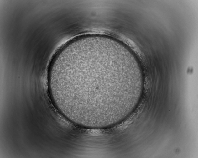 X0000103951172200810101432