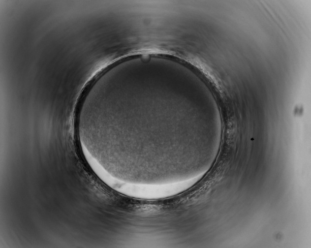 X0000103951173200810101432