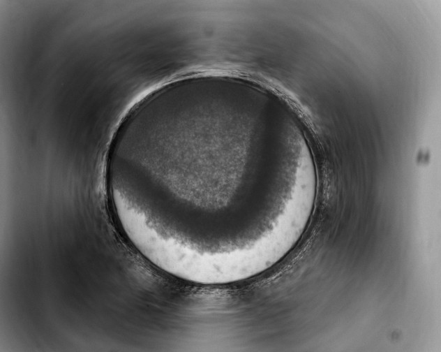 X0000103951174200810101432