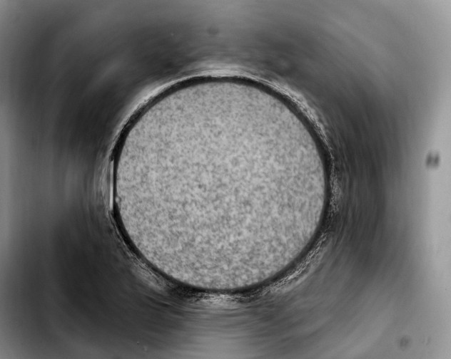 X0000103951175200810101431