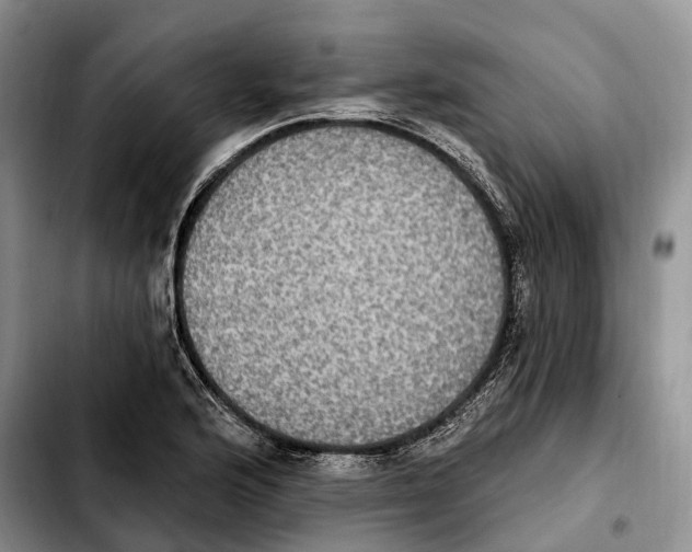 X0000103951176200810101431