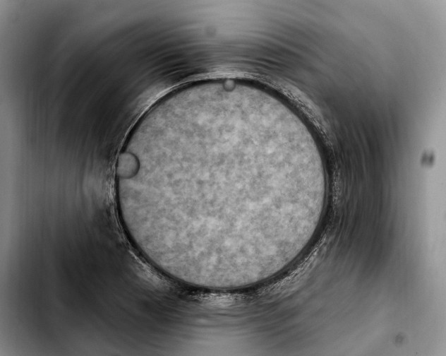 X0000103951177200810101431