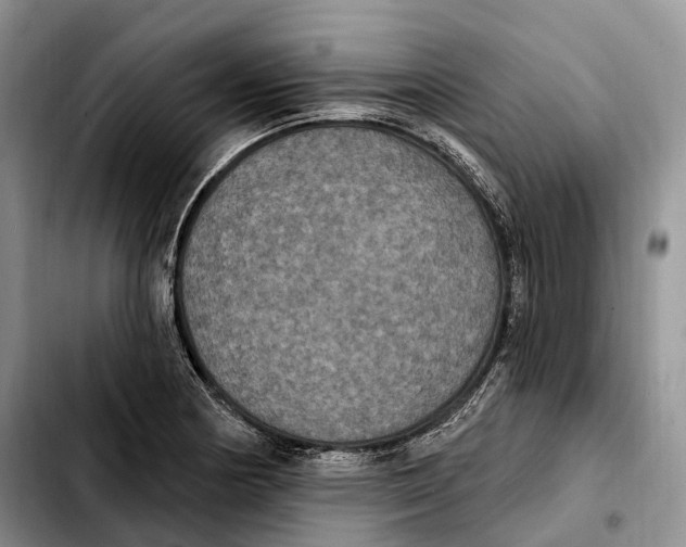 X0000103951178200810101431