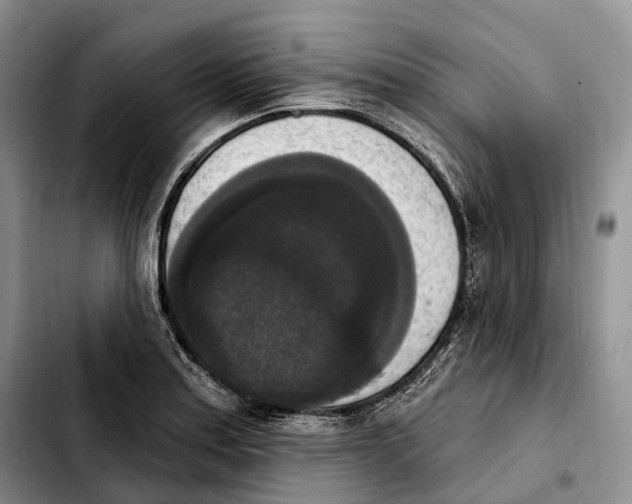 X0000103951179200810101431