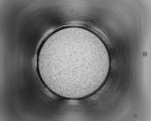 X0000103951180200810101431